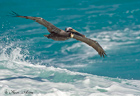 Cancun Photos